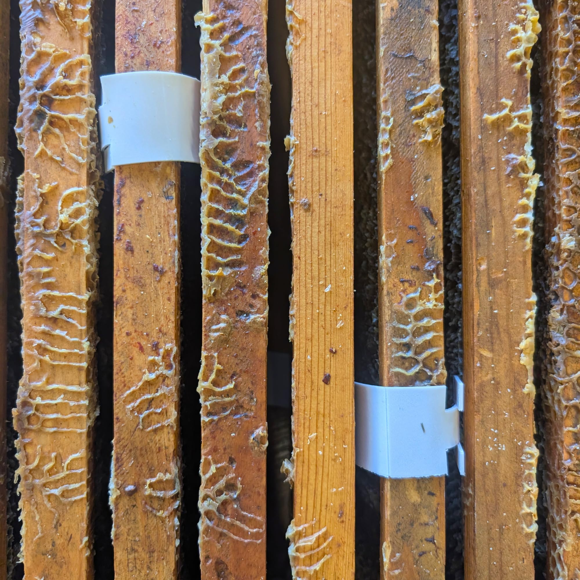 Apivar Strips Varroa Mite Treatment for Honey Bees with Easy Rip Strips - 97-99% Effective Against Mites (4 Pack)